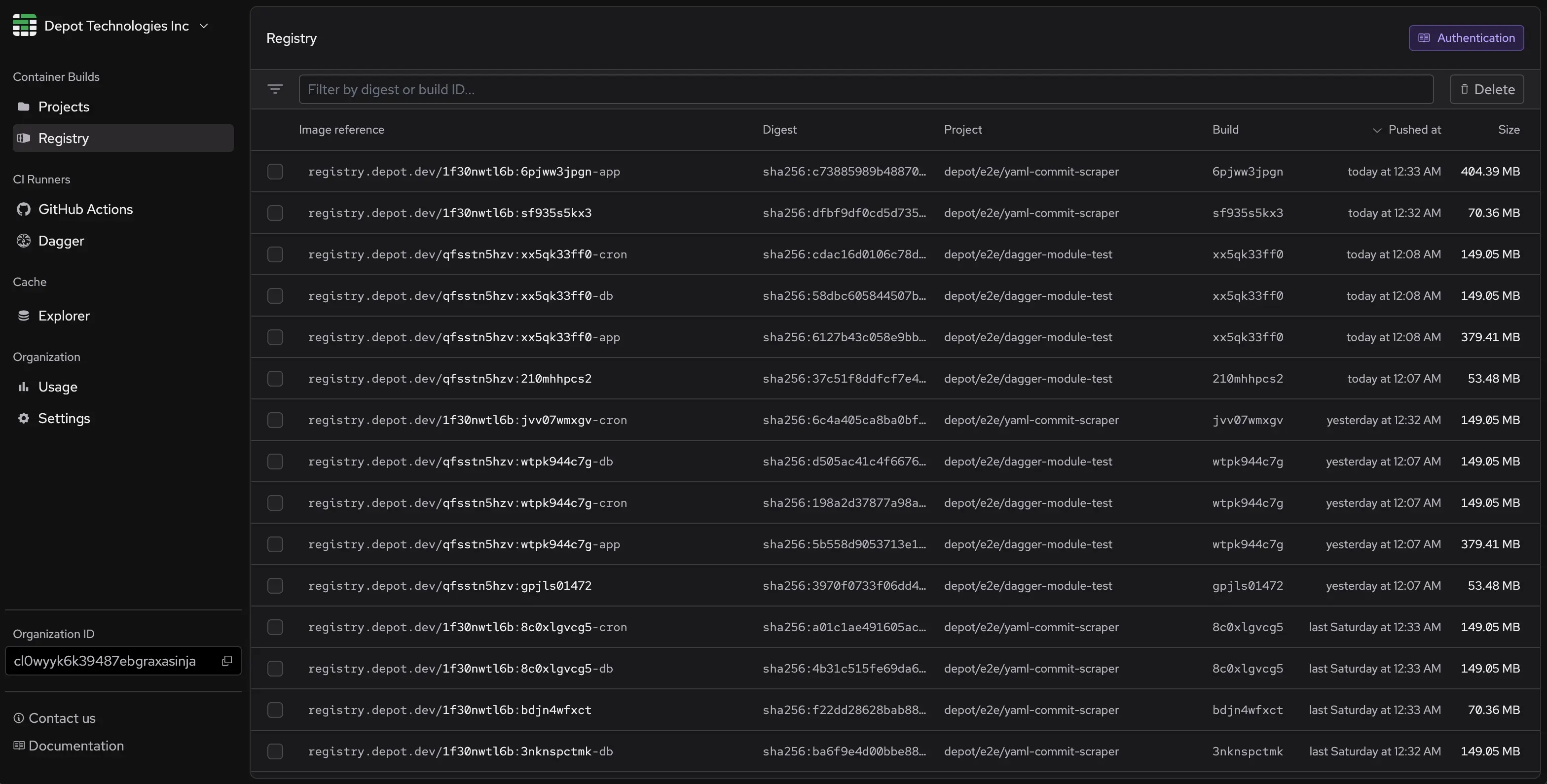 Screenshot of Depot Registry dashboard