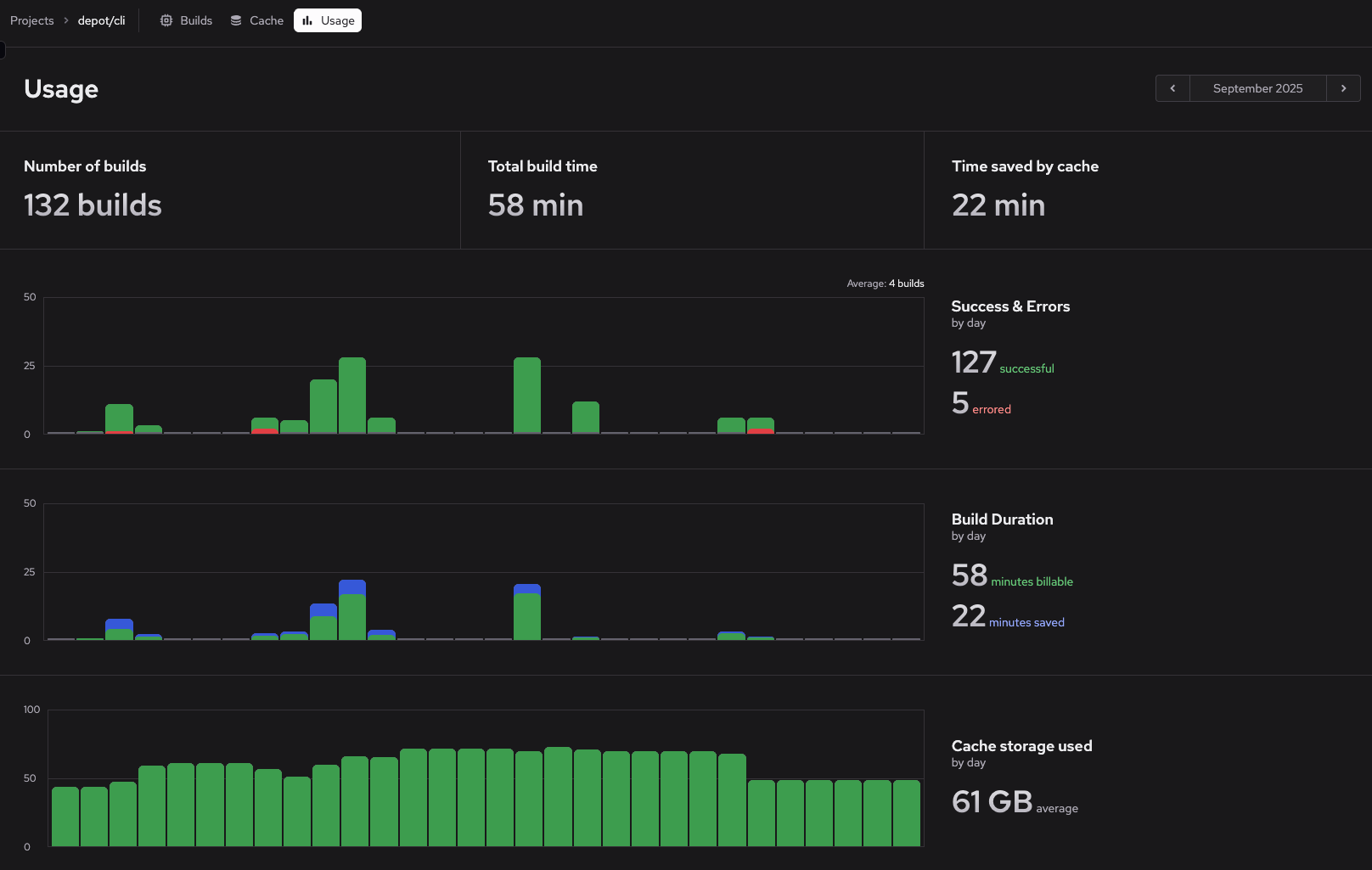 Project usage page showing monthly build statistics